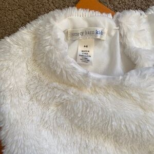 Pottery Barn faux fur costume